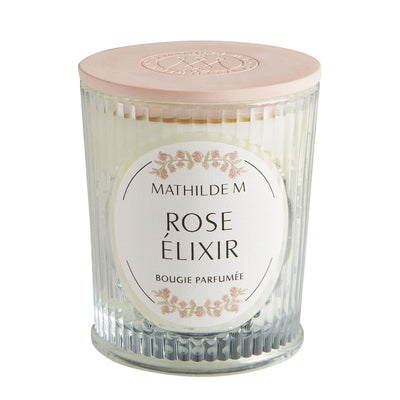 Detalhe de margarida perfumada com laço