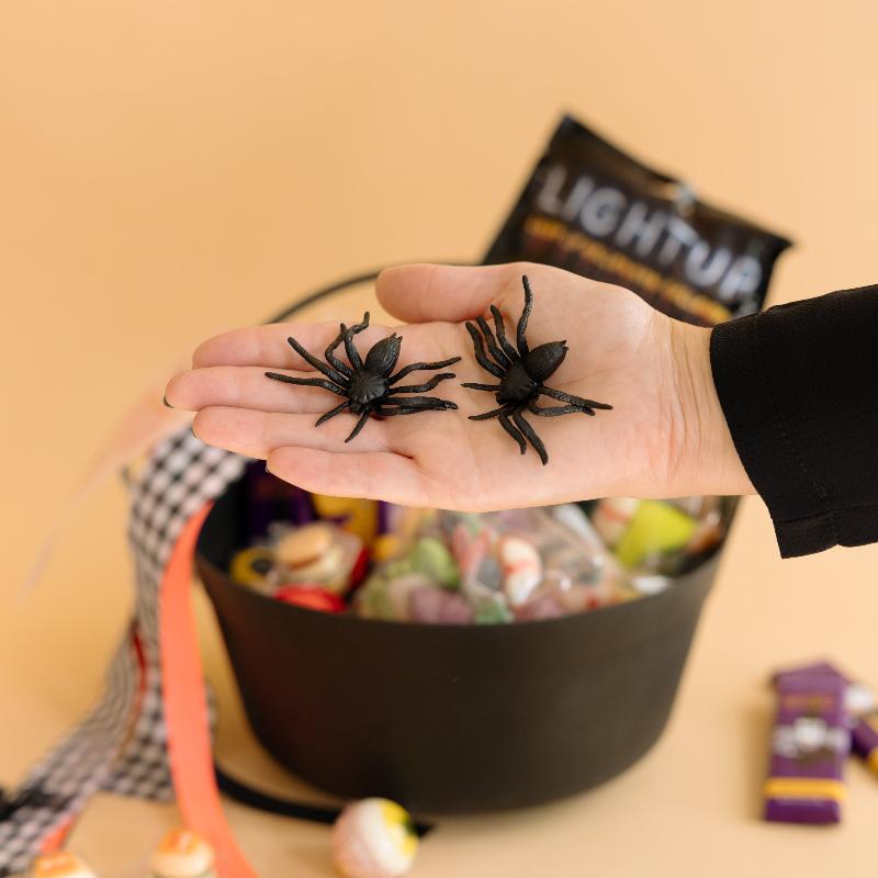 Arañas Halloween / 12 uds.