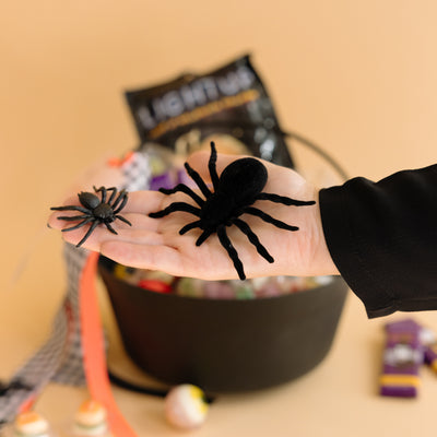 Tarántula Halloween