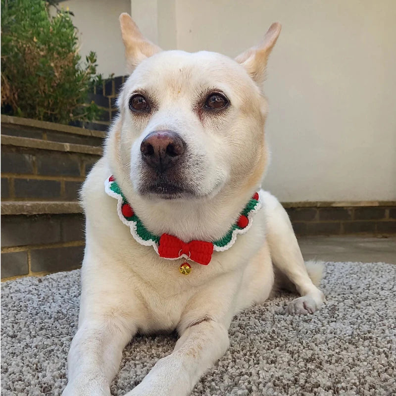 Coleira de cachorro de crochê botânico com enfeite de natal