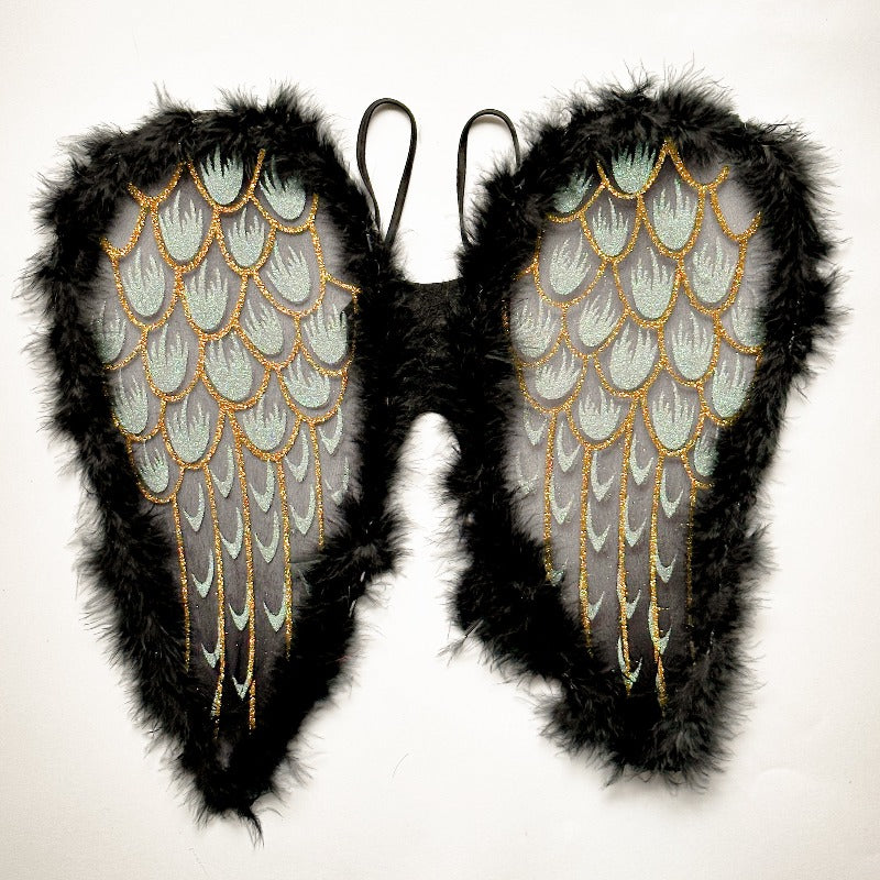 butterfly wings night feathers