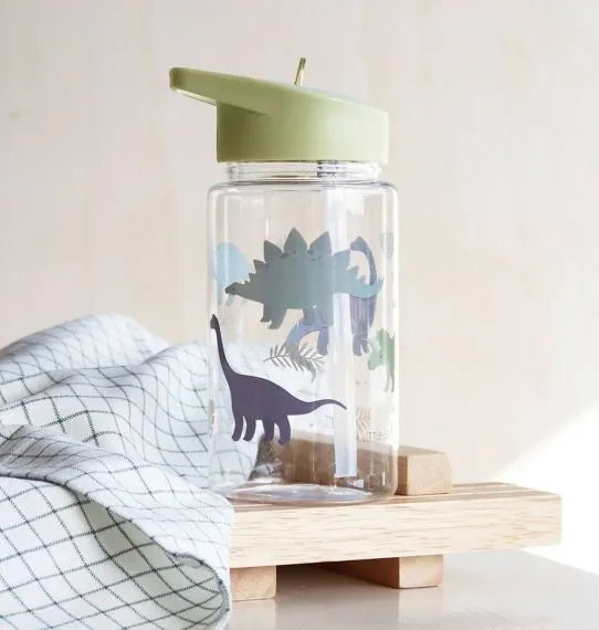 Dinosaurs transparent bottle