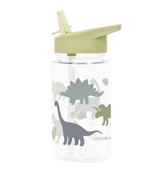 Dinosaurs transparent bottle
