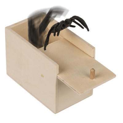 Caixa de madeira com aranha saltadora