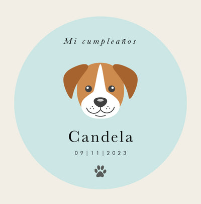 Bote personalizado perrito mint