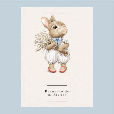 Balão inflado FULL PETER RABBIT SOUVENIR 