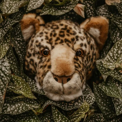 Leopard Plush Head